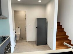 Loft @ Rangoon (D8), Apartment #520703481